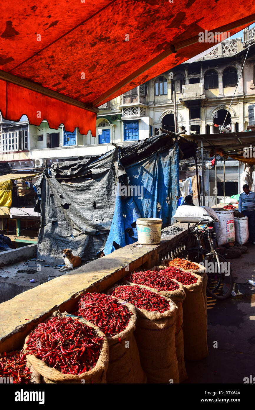 Sacks of red chillies, Khari Baoli,  Bustling Indian Wholesale Spice Market, Old Delhi, India Stock Photo