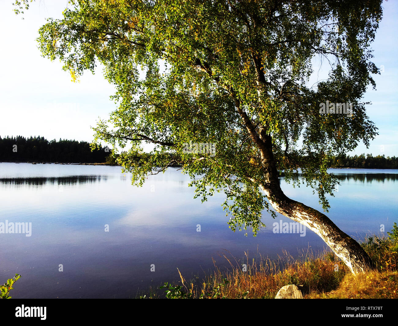 Idyllic spring scene with no people, swedish nature lakescape Stock Photo