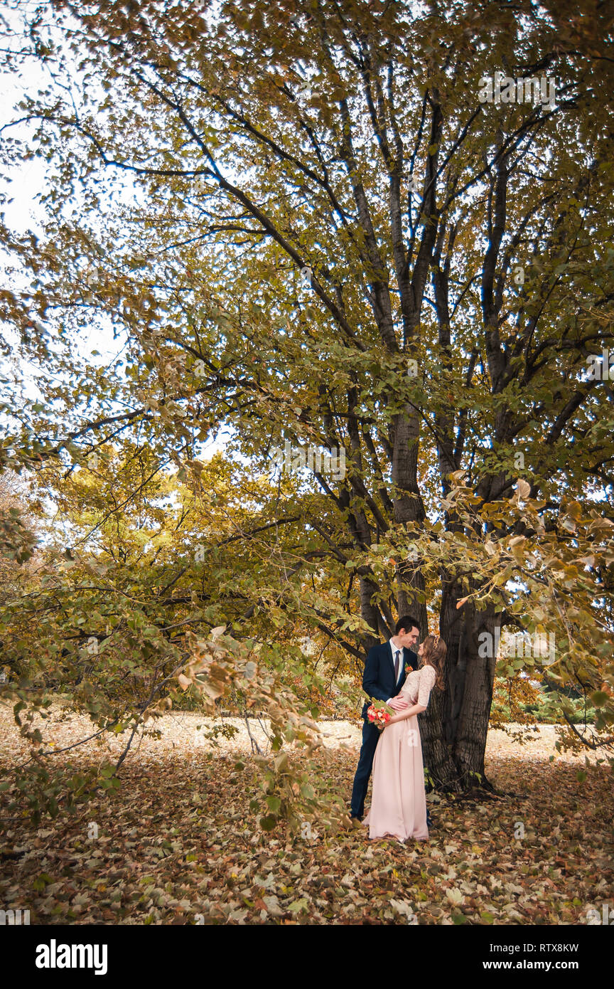 Bride And Groom Hugging In A Forest In The Autumn Forest Wedding Walk Stock Photo Alamy Bride And Groom Hugging In A Forest In The Autumn Forest Wedding Walk Stock Photo Alamy
