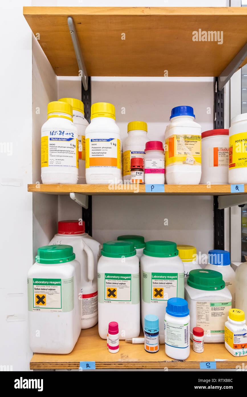 Chemical reagents in a laboratory for drug research Stock Photo Alamy