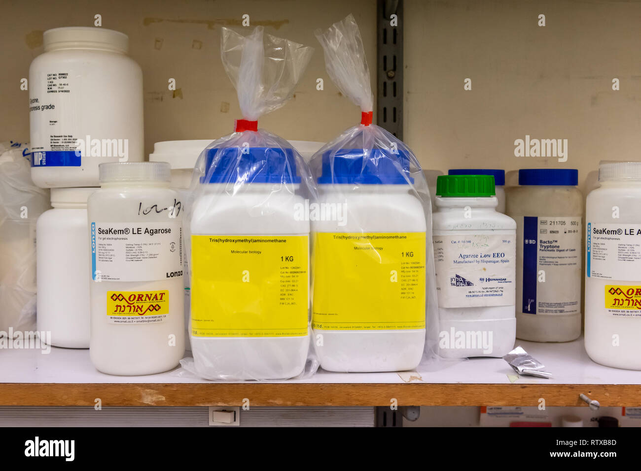 Chemical reagents in a laboratory for drug research Stock Photo