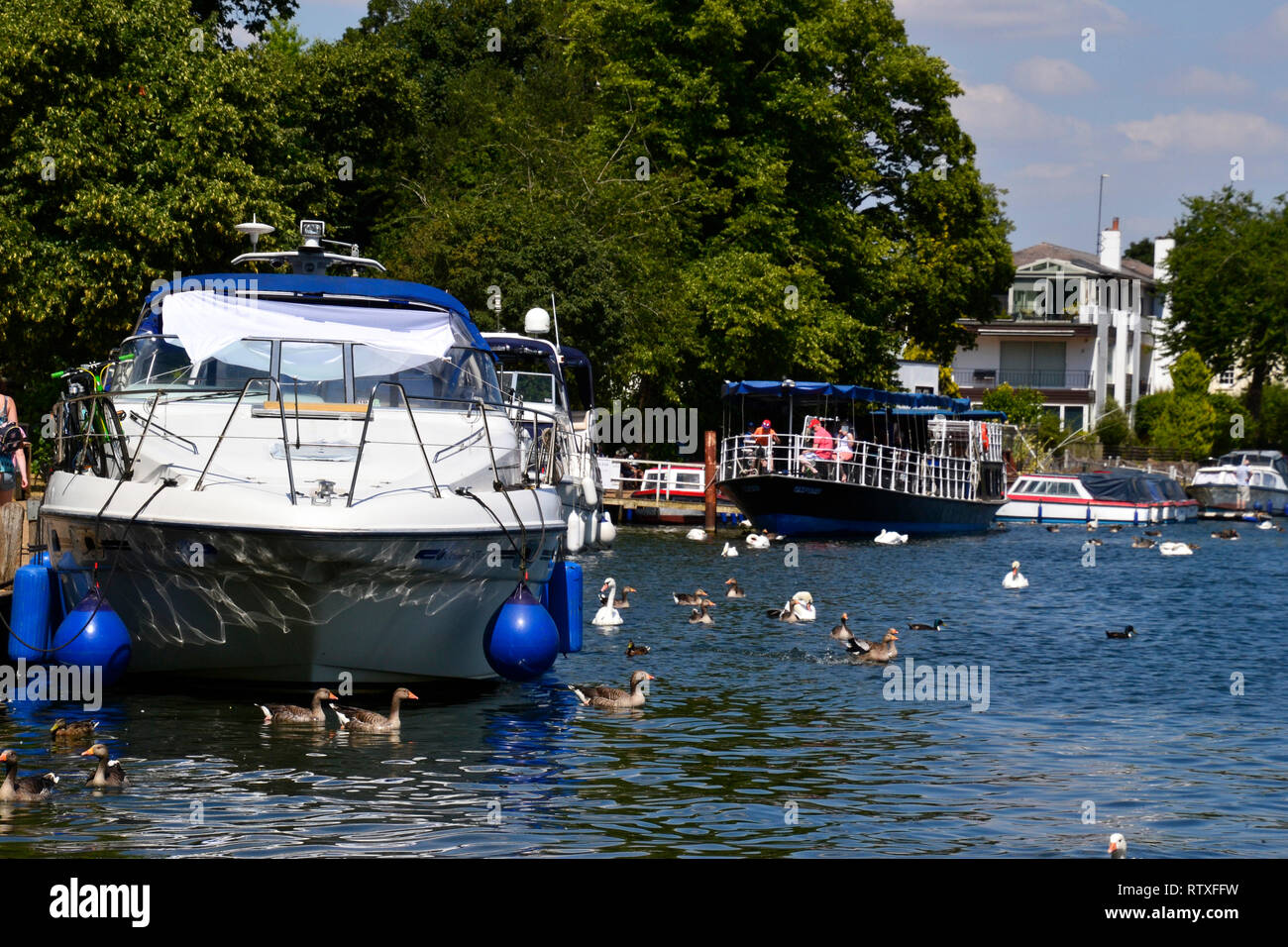 The River Thames in Marlow, Buckinghamshire, England, UK Stock Photo