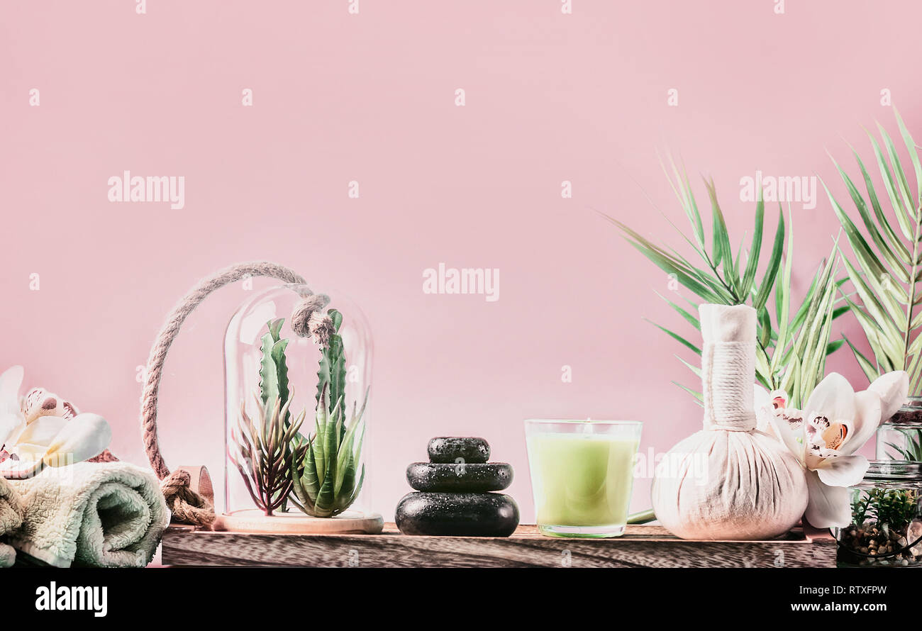 Spa Setting Background With Steak Of Massage Stones Succulent