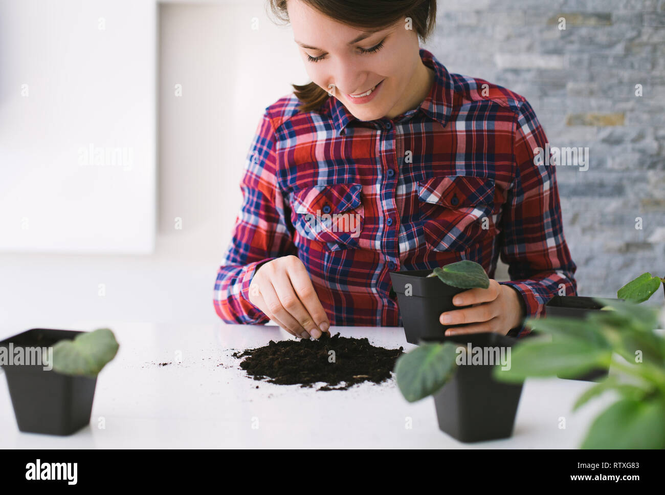 Woman home gardening relocating house plant Stock Photo