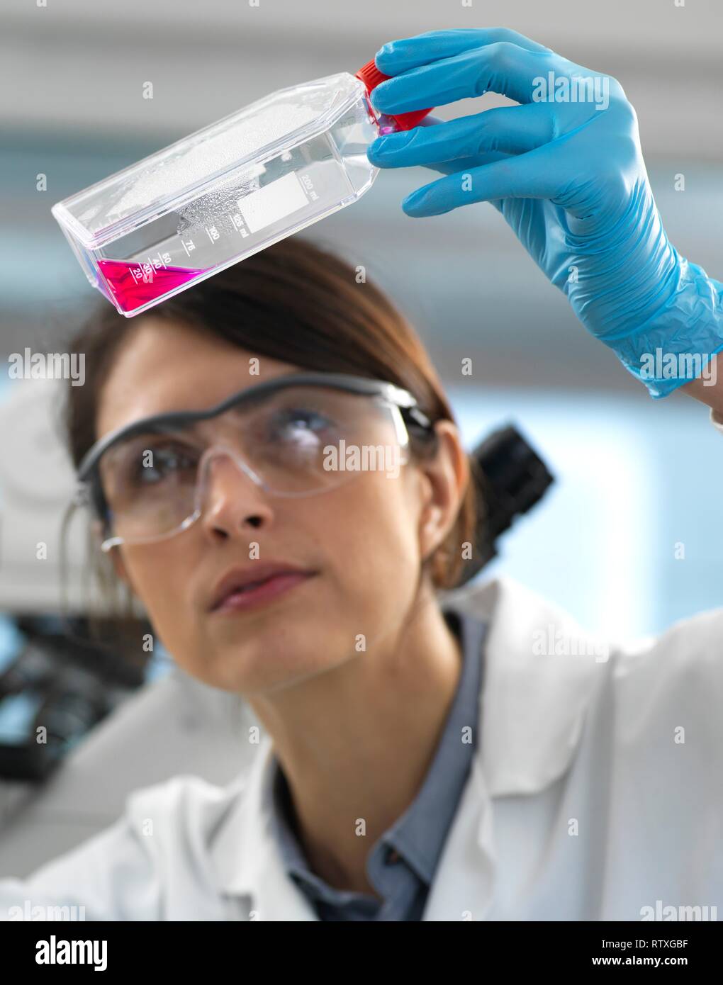 Female cell biologist examining a flask containing stem cells, cultivated in red growth medium. Stock Photo