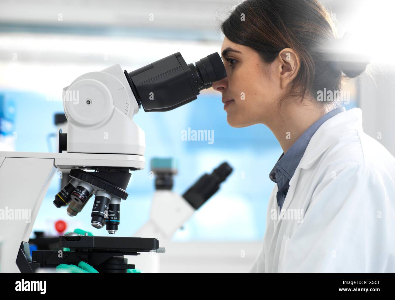 Scientist examining specimens under a microscope during a clinical trial in the laboratory Stock