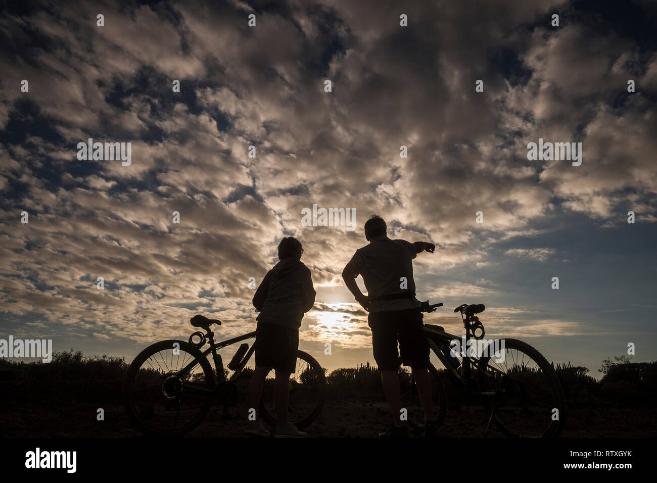 emotion bicycles