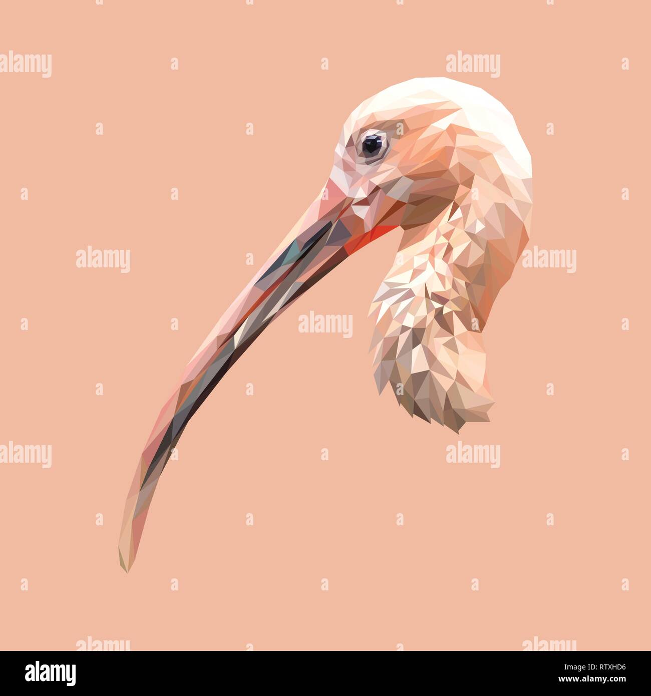 Ibis bird low poly design. Triangle vector illustration Stock Vector ...