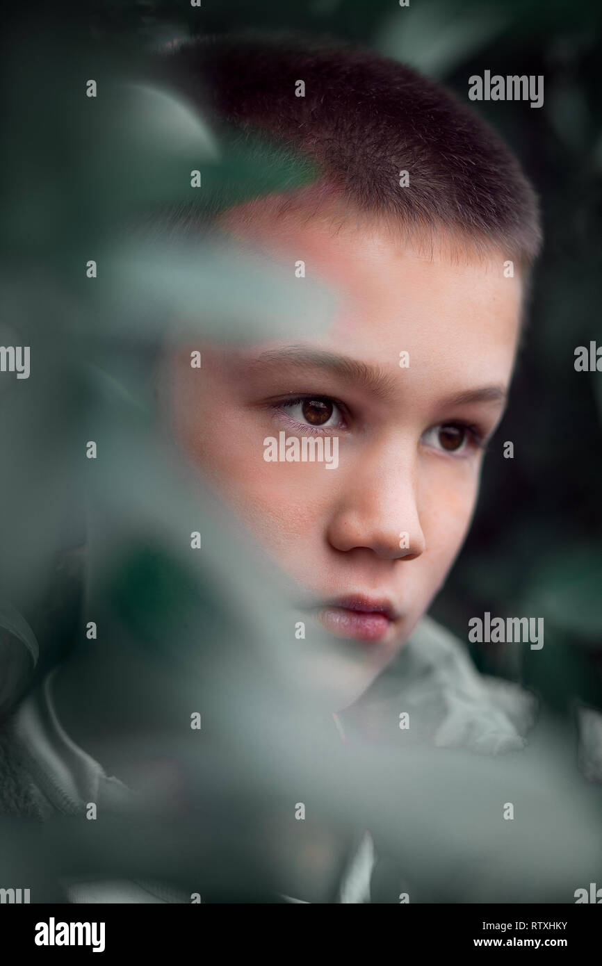 Portrait of a boy in a bush Stock Photo