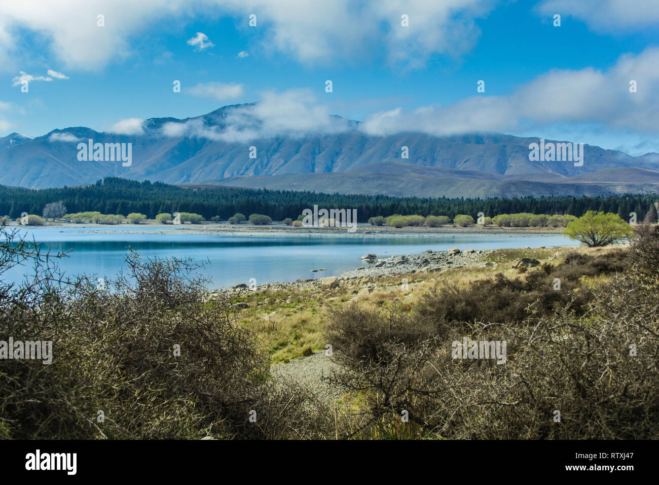 View over Lake Tekapo, South Island of New Zealand Stock Photo - Alamy
