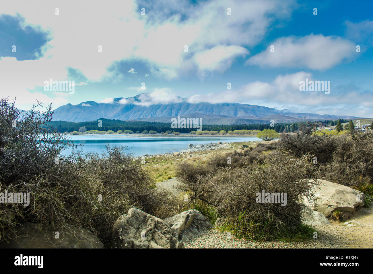View over Lake Tekapo, South Island of New Zealand Stock Photo - Alamy