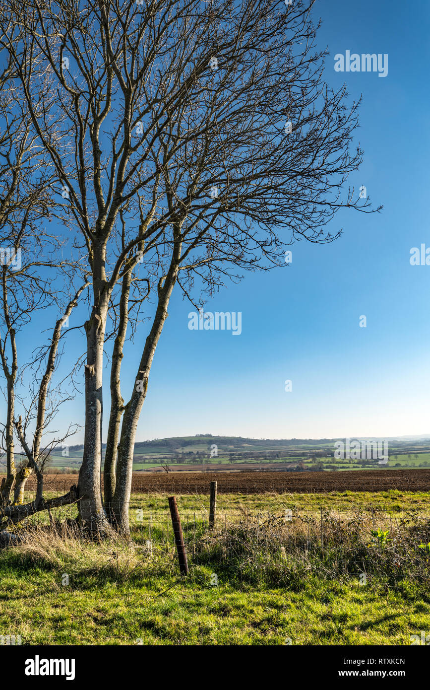 Rolling english countryside hi-res stock photography and images - Alamy
