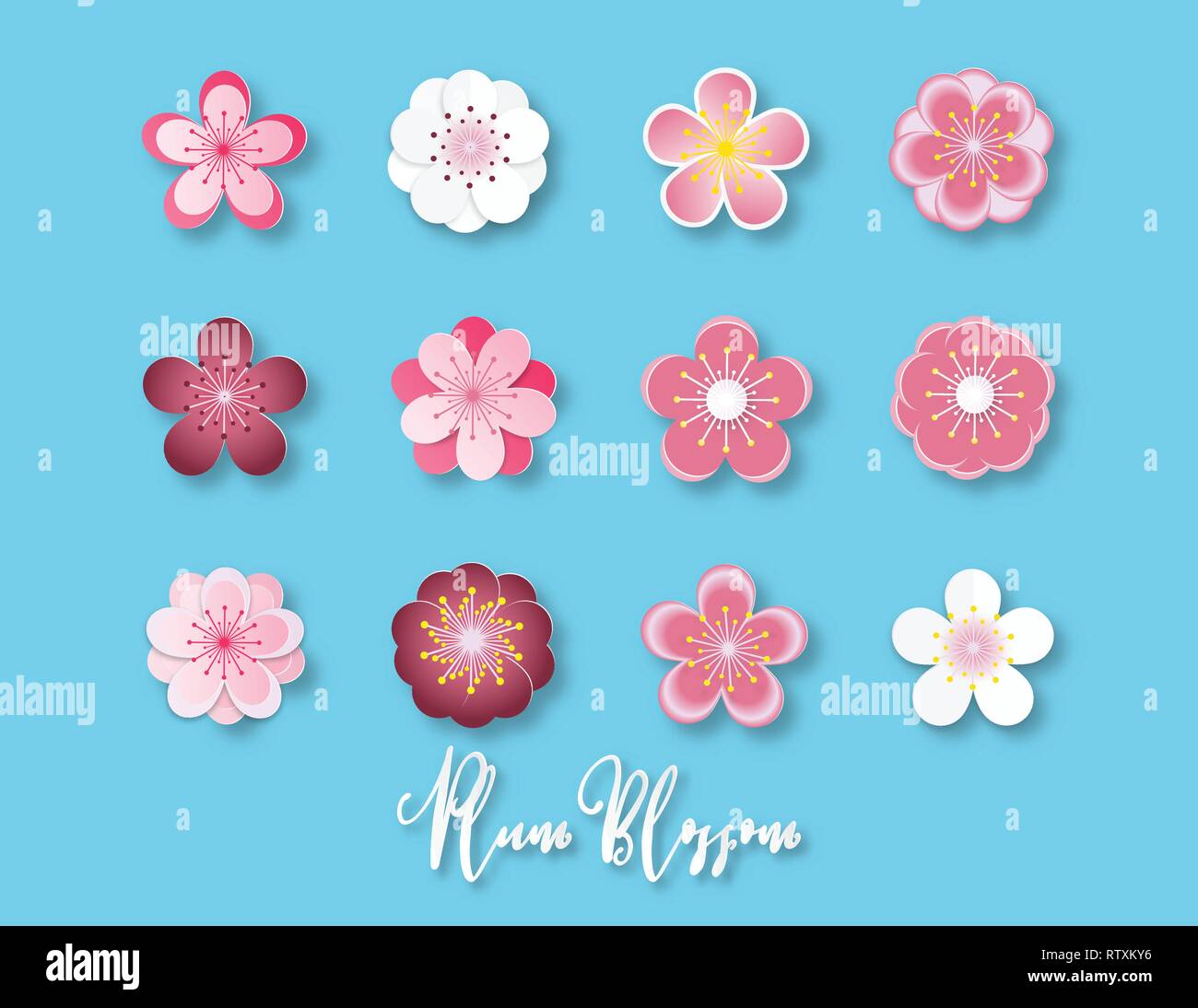 Creative vector illustration collection of plum blossom paper cut style  isolated on blue background. Paper art digital craft for Shirt design,  textile Stock Vector Image & Art - Alamy