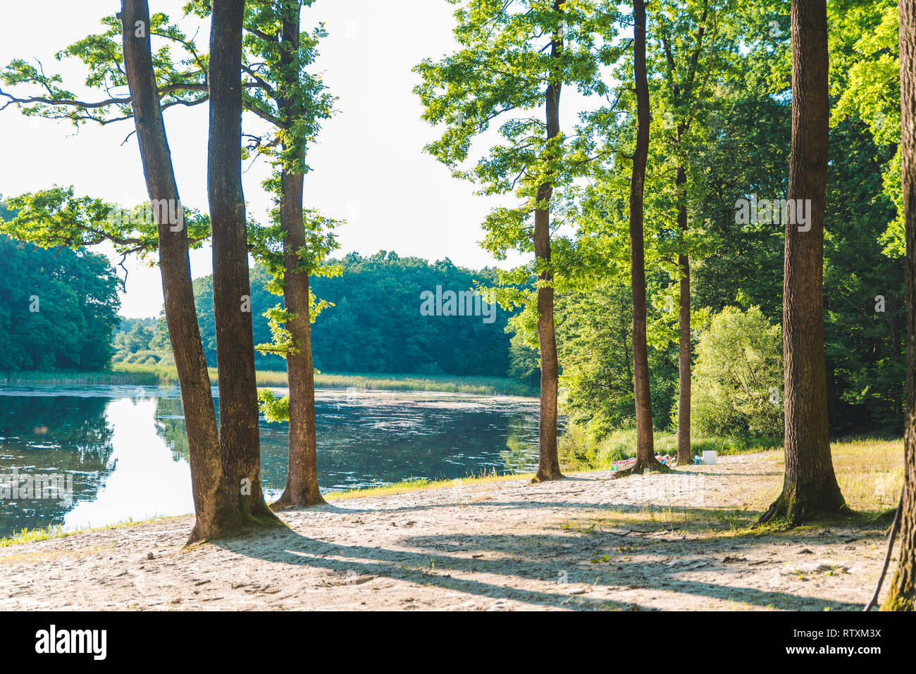 Summer time lake green forest hi-res stock photography and images - Alamy