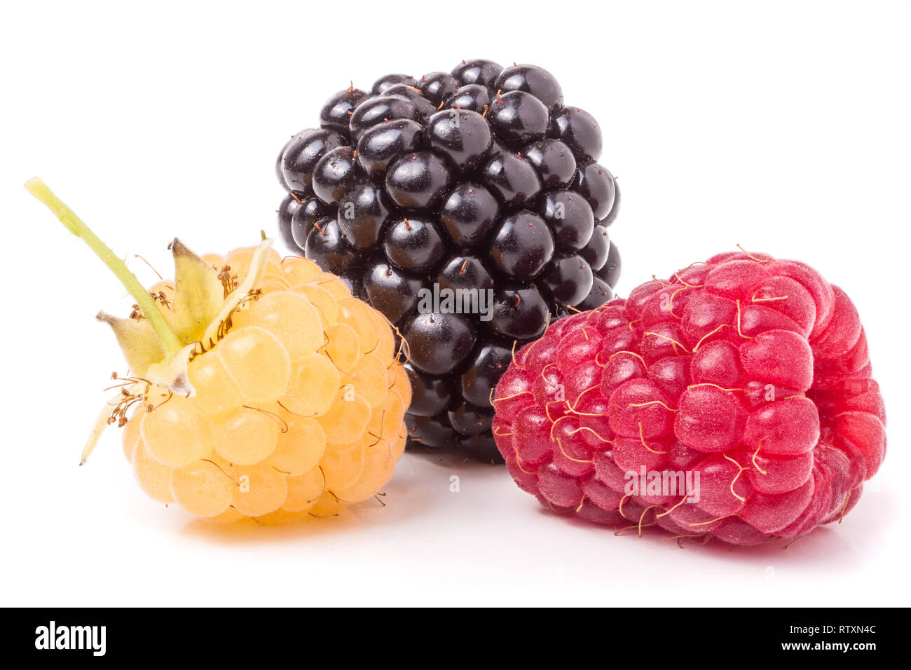 raspberries and blackberries isolated on white background Stock Photo