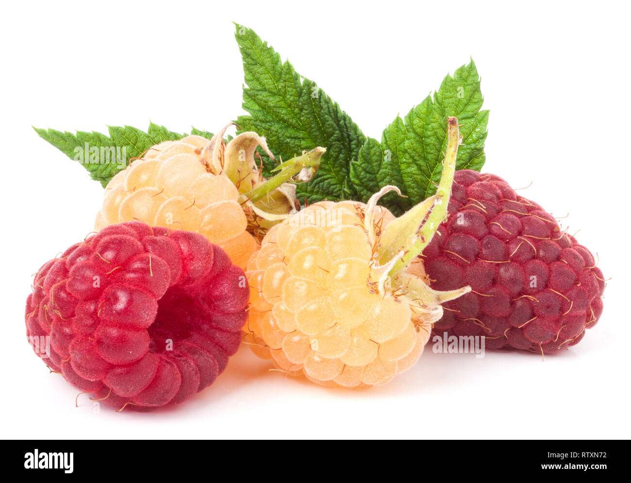 Red Andyellow Raspberry red and yellow raspberries with leaves on a white background Stock ...