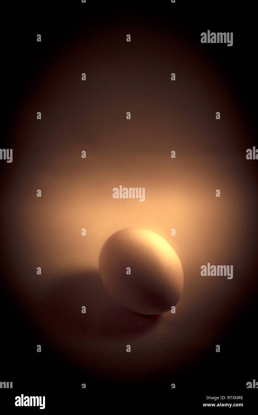 Still life with egg hi-res stock photography and images - Alamy