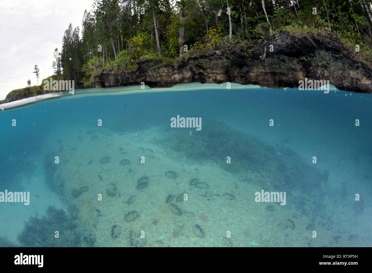 Rock piscine hi-res stock photography and images - Alamy