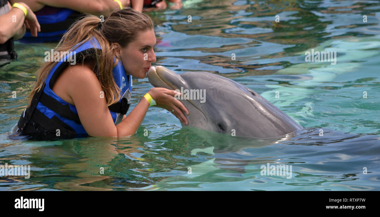 Girl kisses a bottlenose dolphin, Tursiops truncatus, at Sea Life Park, Oahu, Hawaii, USA Stock Photo