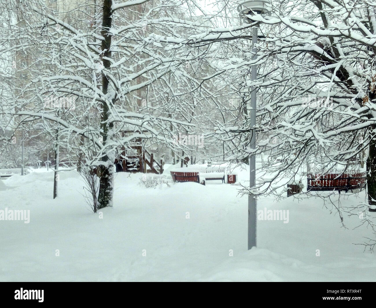 city park after snowfall at day Stock Photo - Alamy