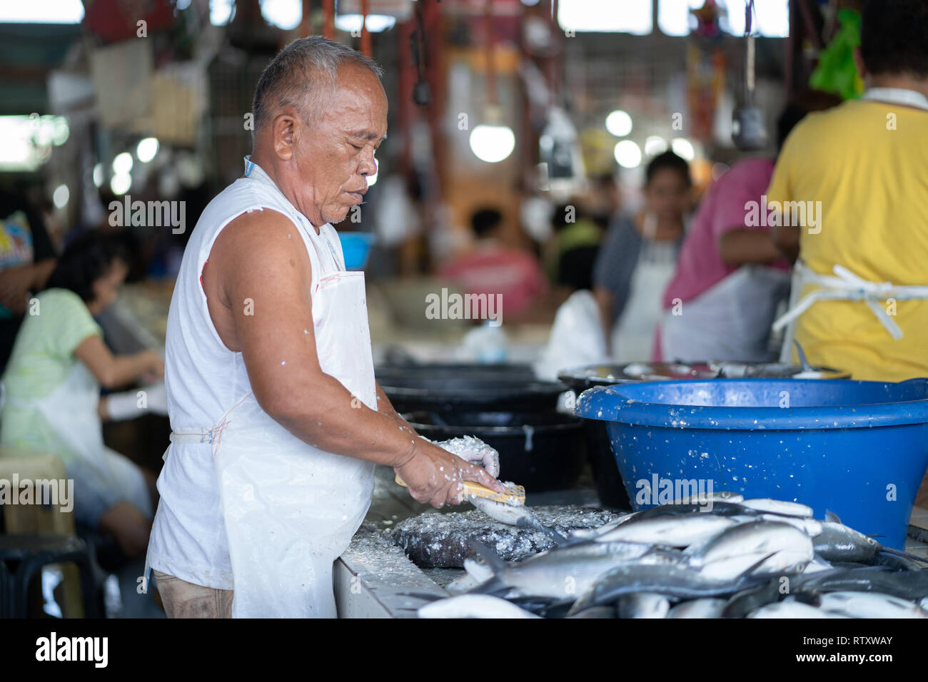 Wet scales hires stock photography and images Alamy