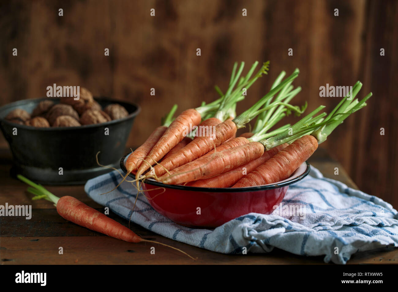 Studio Still Life with fresh Carrots and Walnuts Stock Photo