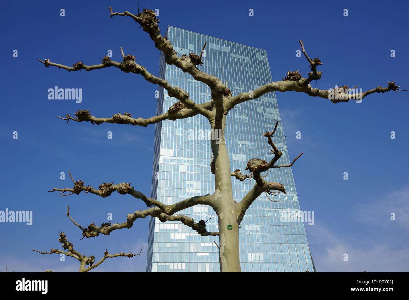 EZB, Europäische Zentralbank, Hessen, Deutschland Stock Photo