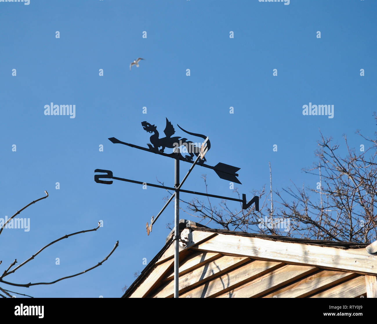 A weather-vane set against a clear blue sky with a bird flying in the background Stock Photo