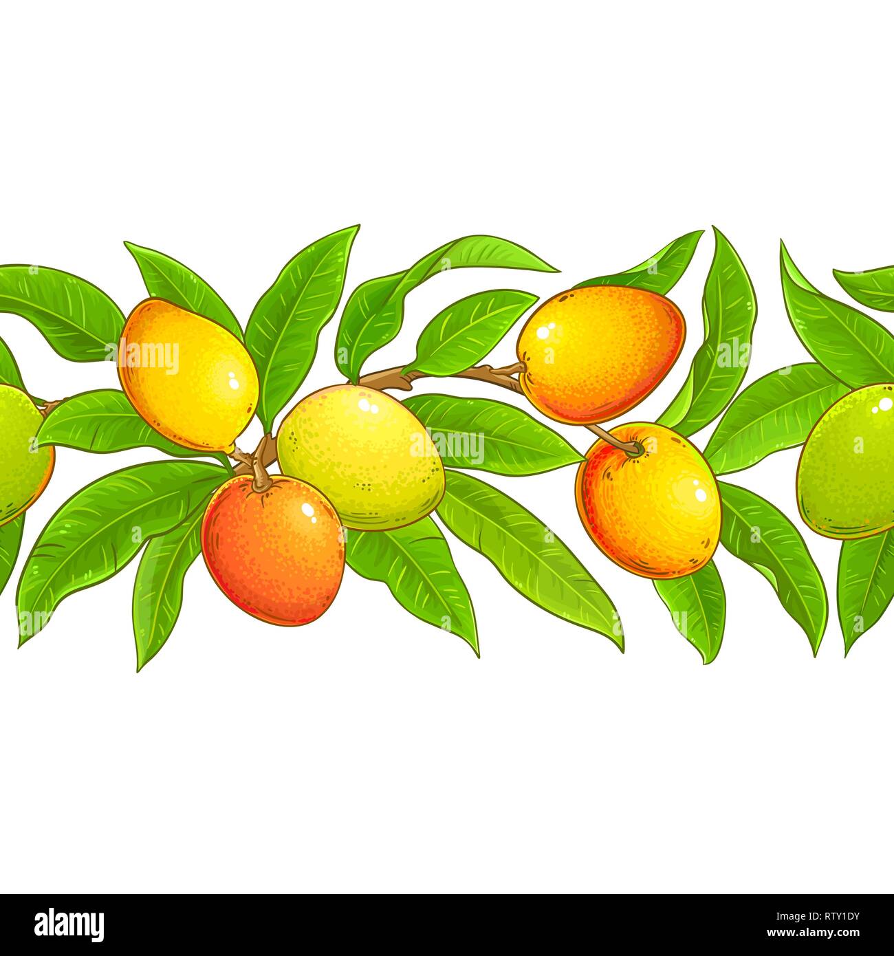 mango vector pattern on white background Stock Vector