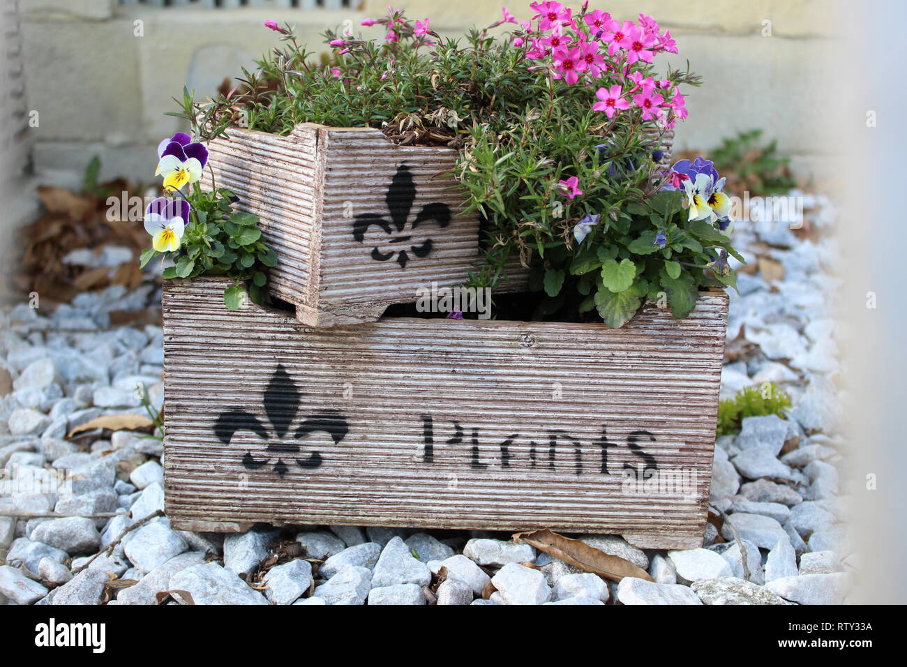 Flowers in Box Planter Stock Photo Alamy