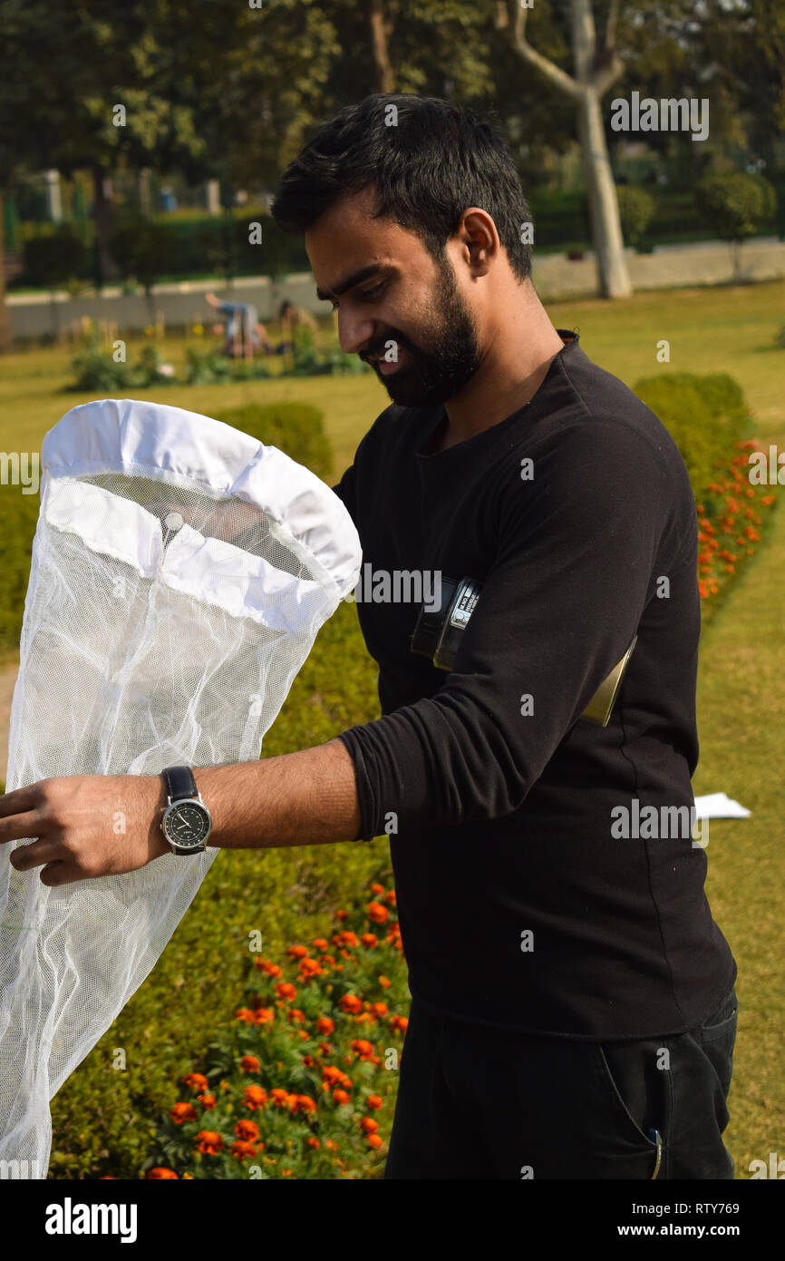 Young man entomologist collecting insects using an insect net or ...