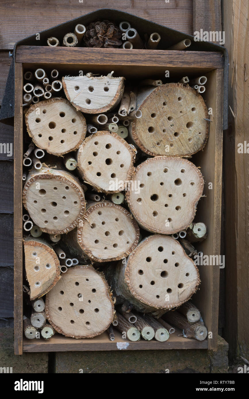 Close-up of a homemade bee house (bee hotel) with holes of varying sizes drilled in logs against a garden fence Stock Photo