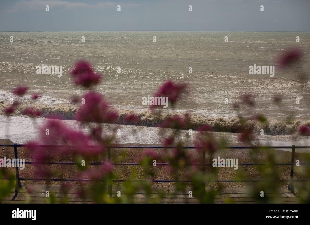 The sea from Eastbourne England Stock Photo Alamy