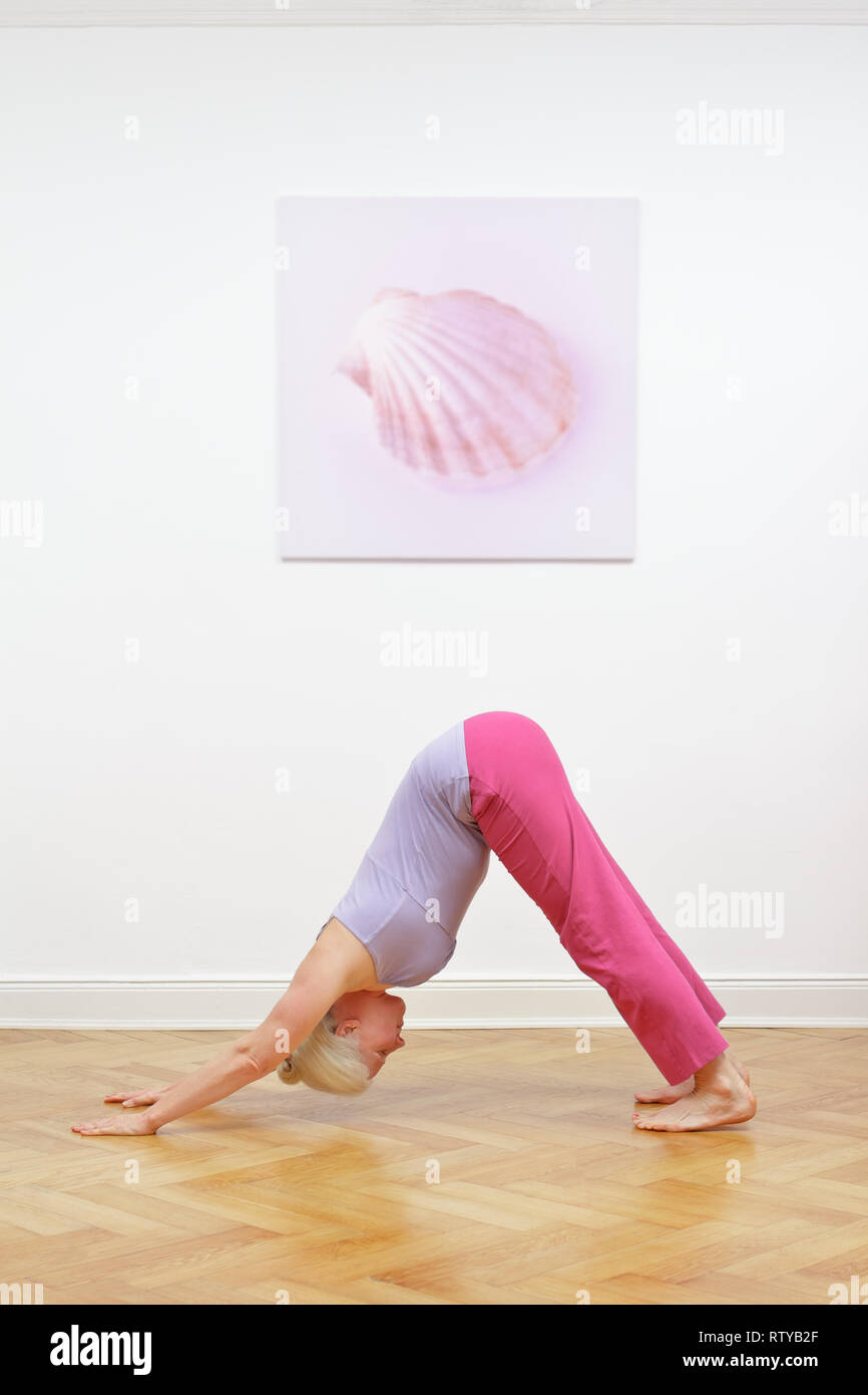 Senior woman with gray hair doing yoga exercise at home in front of a white wall with picture, asana downward dog Stock Photo
