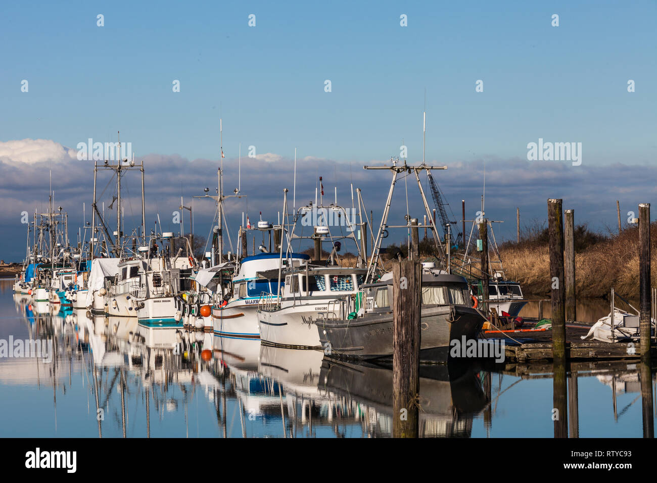 Commercial fish pond hires stock photography and images Alamy