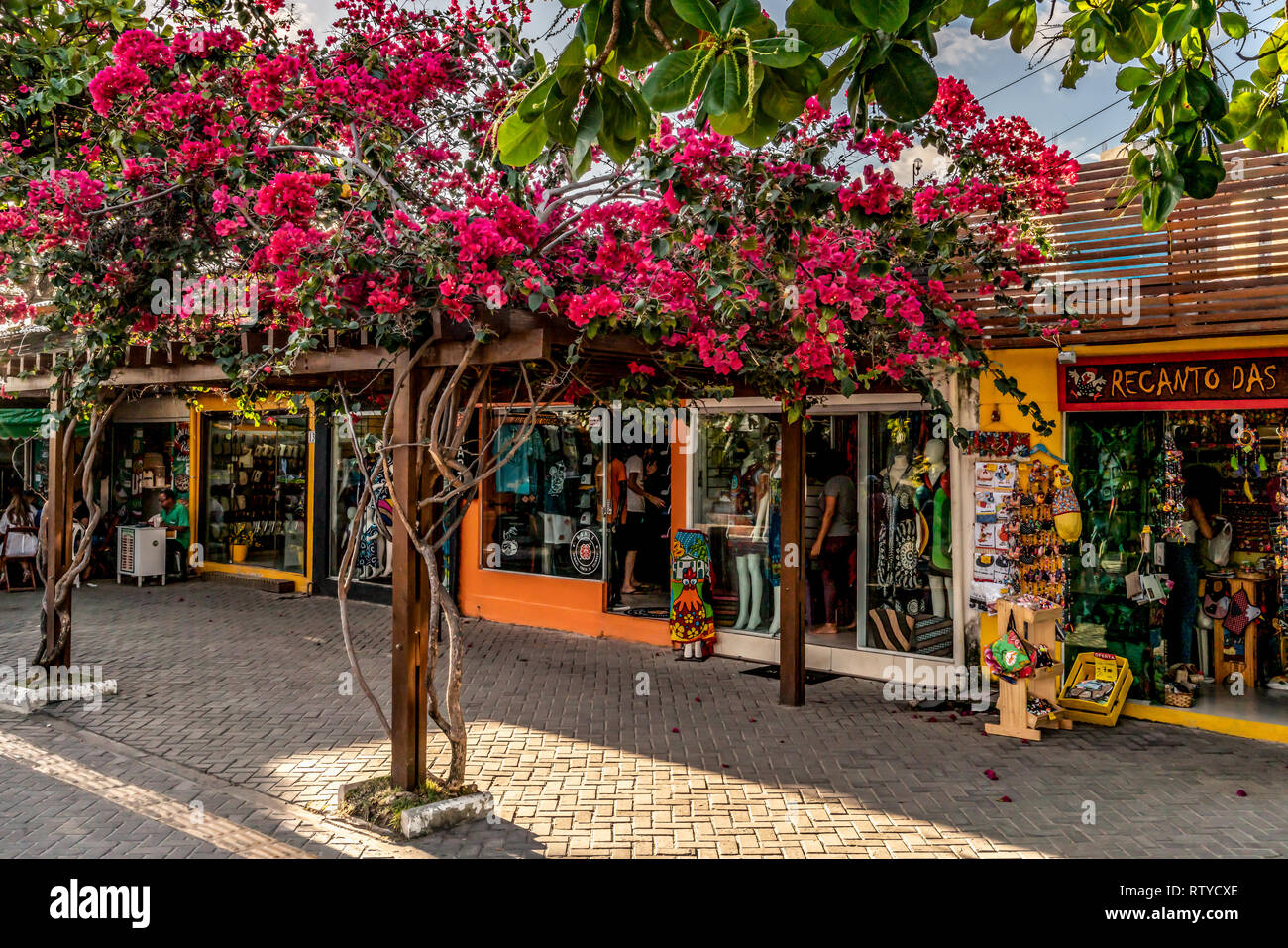 Ipojuca Pernambuco fonte: c8.alamy.com Fonte: c8.alamy.com