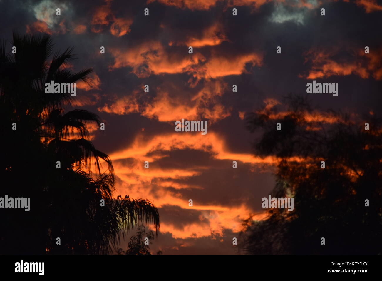 Beautiful fiery sunset over the Arizona desert Stock Photo - Alamy