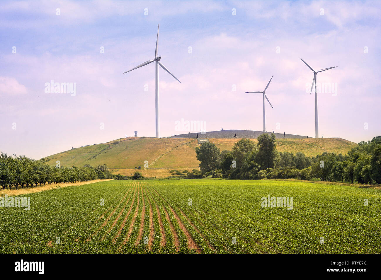 wind turbines on a sunny summer day Stock Photo
