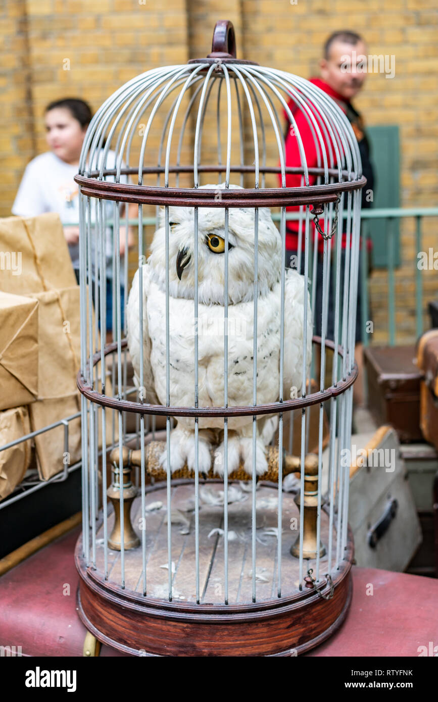 Lechuza. Harry potter wallpaper, Harry potter, Harry potter universal