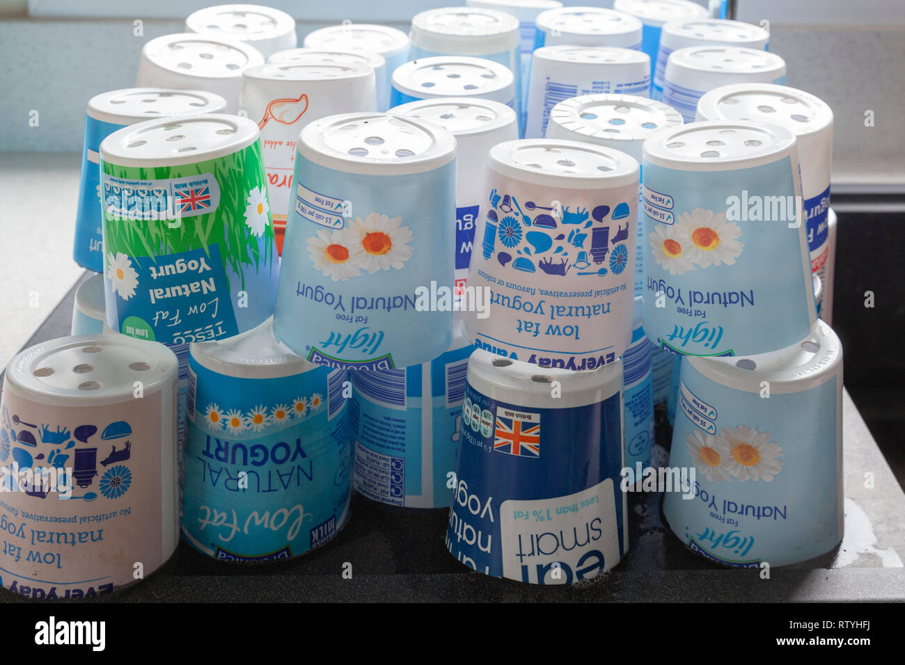 Old yogurt tubs with holes punched into them to be reused as plant pots