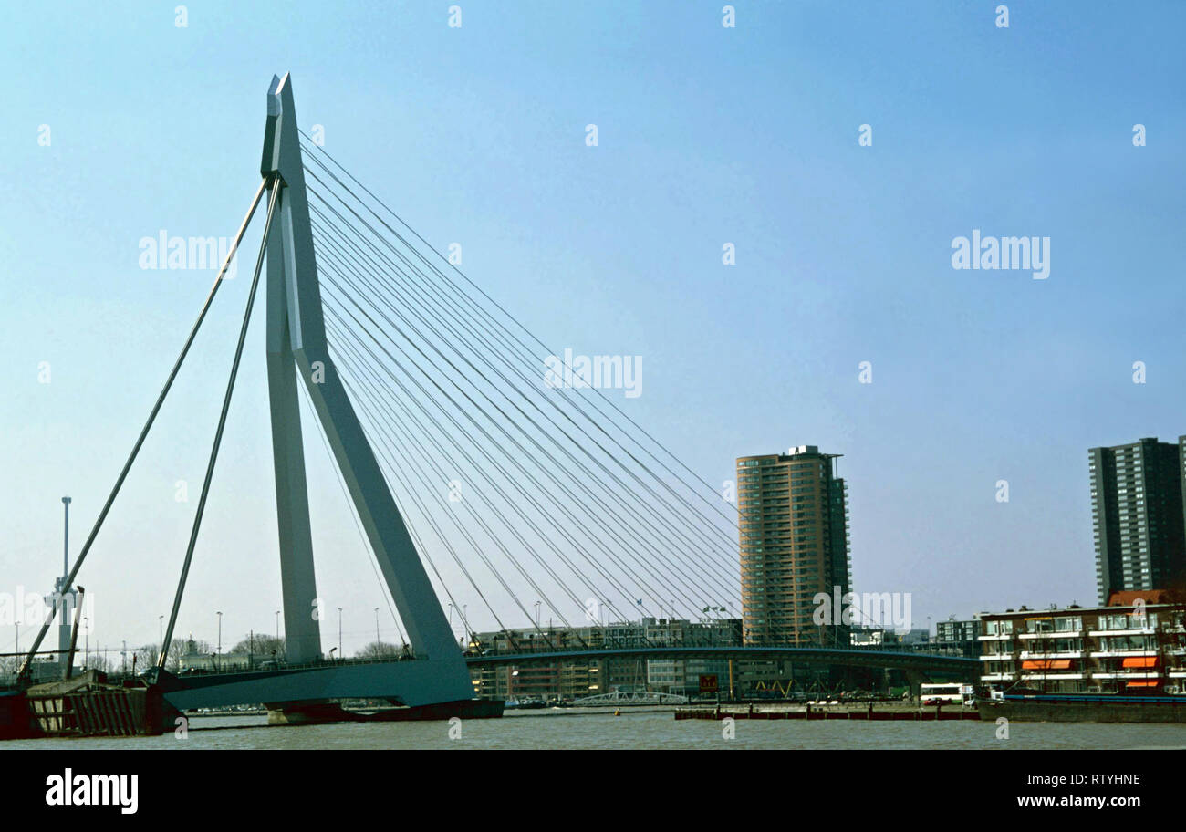 Erasmusbrug,cable-stayed bridge,Netherlands Stock Photo