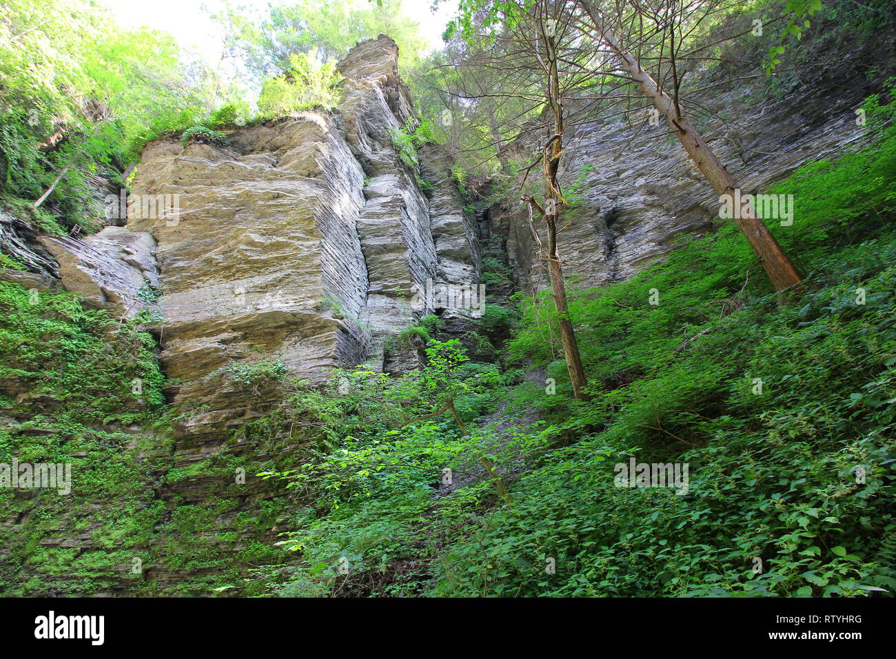 Havana Glen, Montour Falls, New York Stock Photo - Alamy