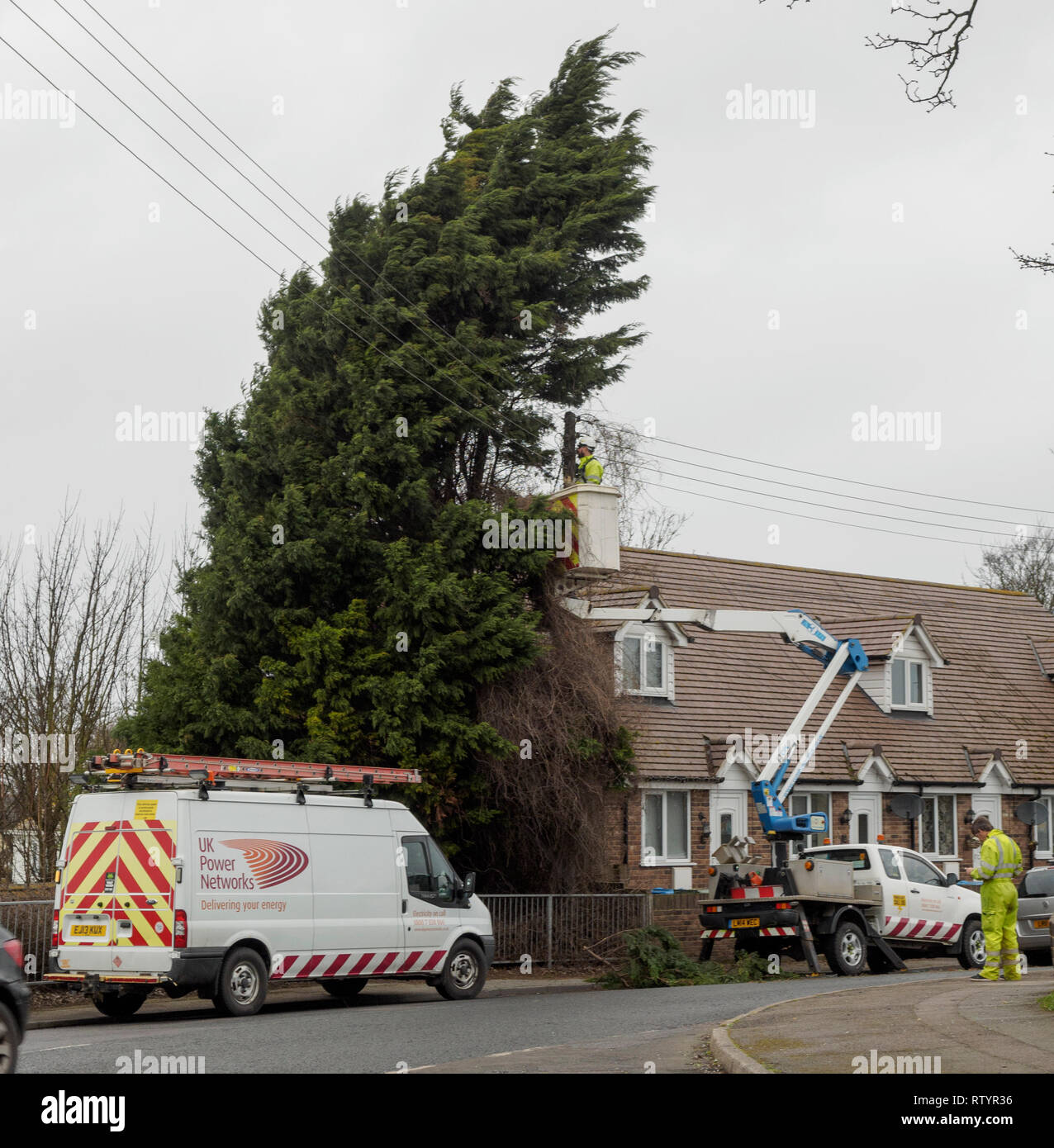 Minster on sea, Kent, UK. 3rd March, 2019. UK Weather: sparks were reportedly seen flying through the air as strong winds caused this tree in Minster on sea, Kent to collide with overhead power lines. UK Power Networks arrived quickly at the scene to deal with the incident. Credit: James Bell/Alamy Live News Stock Photo