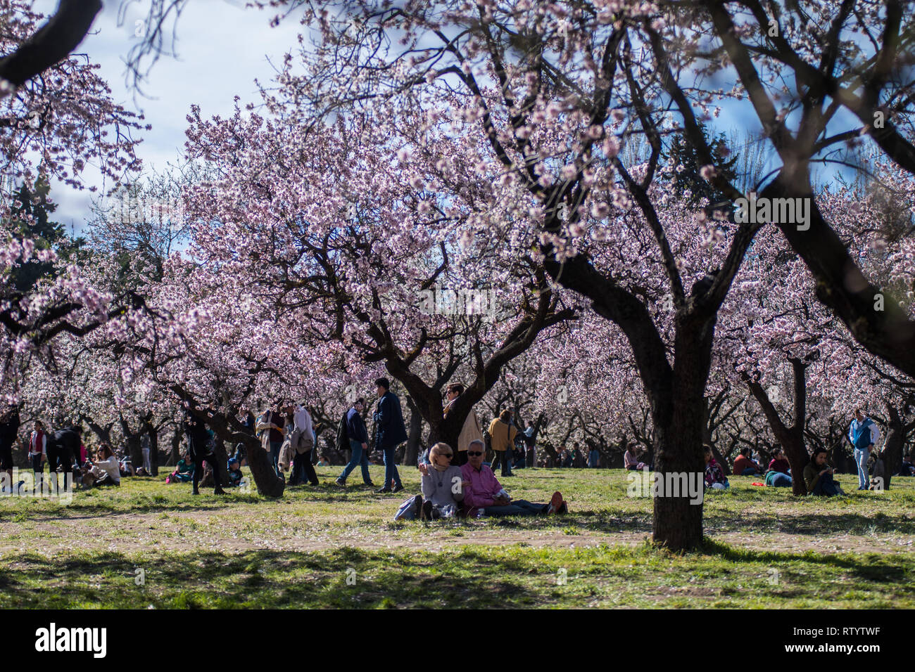 Madrid, Spain. 3rd March, 2019. People enjoy great weather with