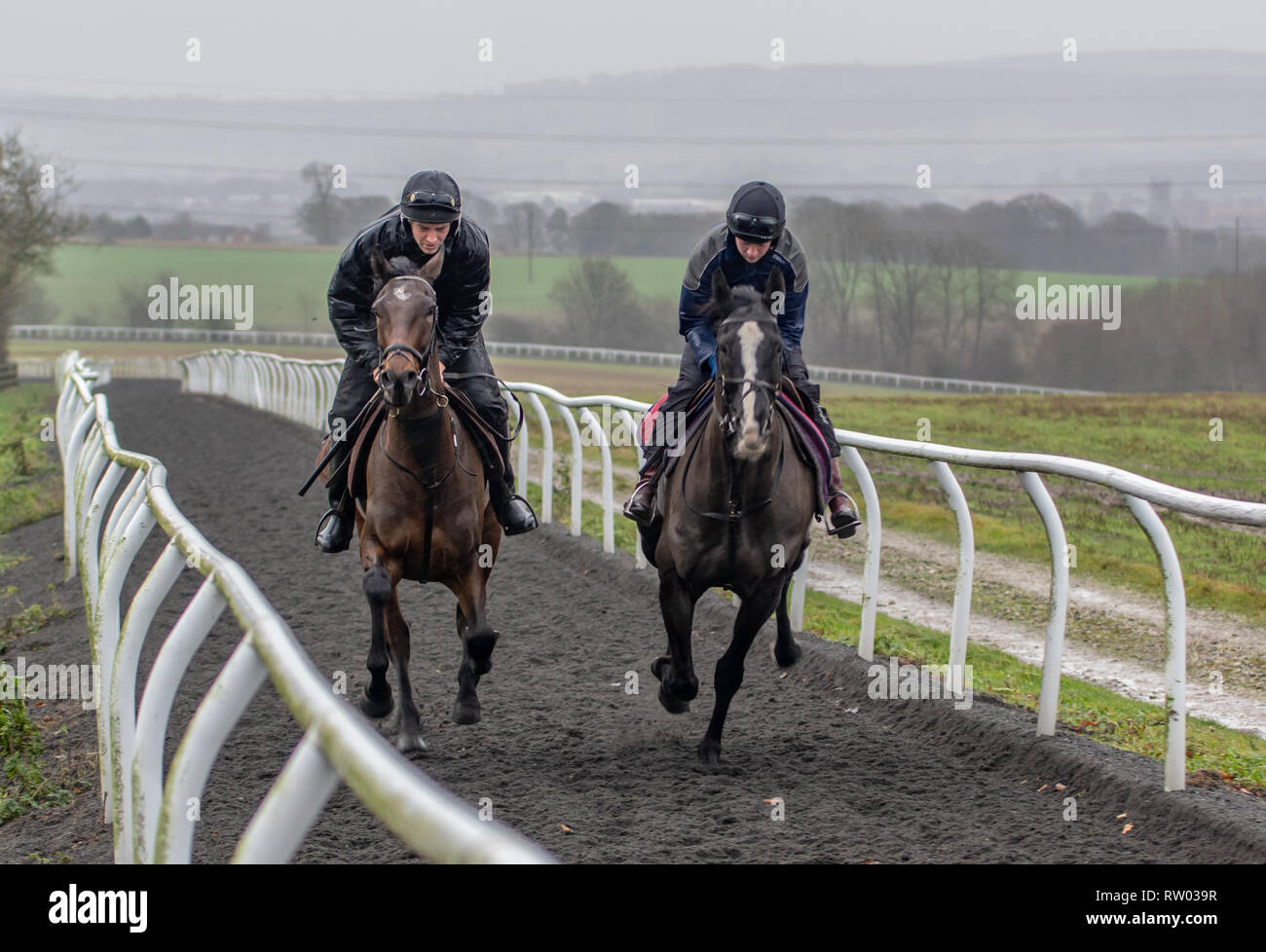 Racehorse and tack hires stock photography and images Alamy