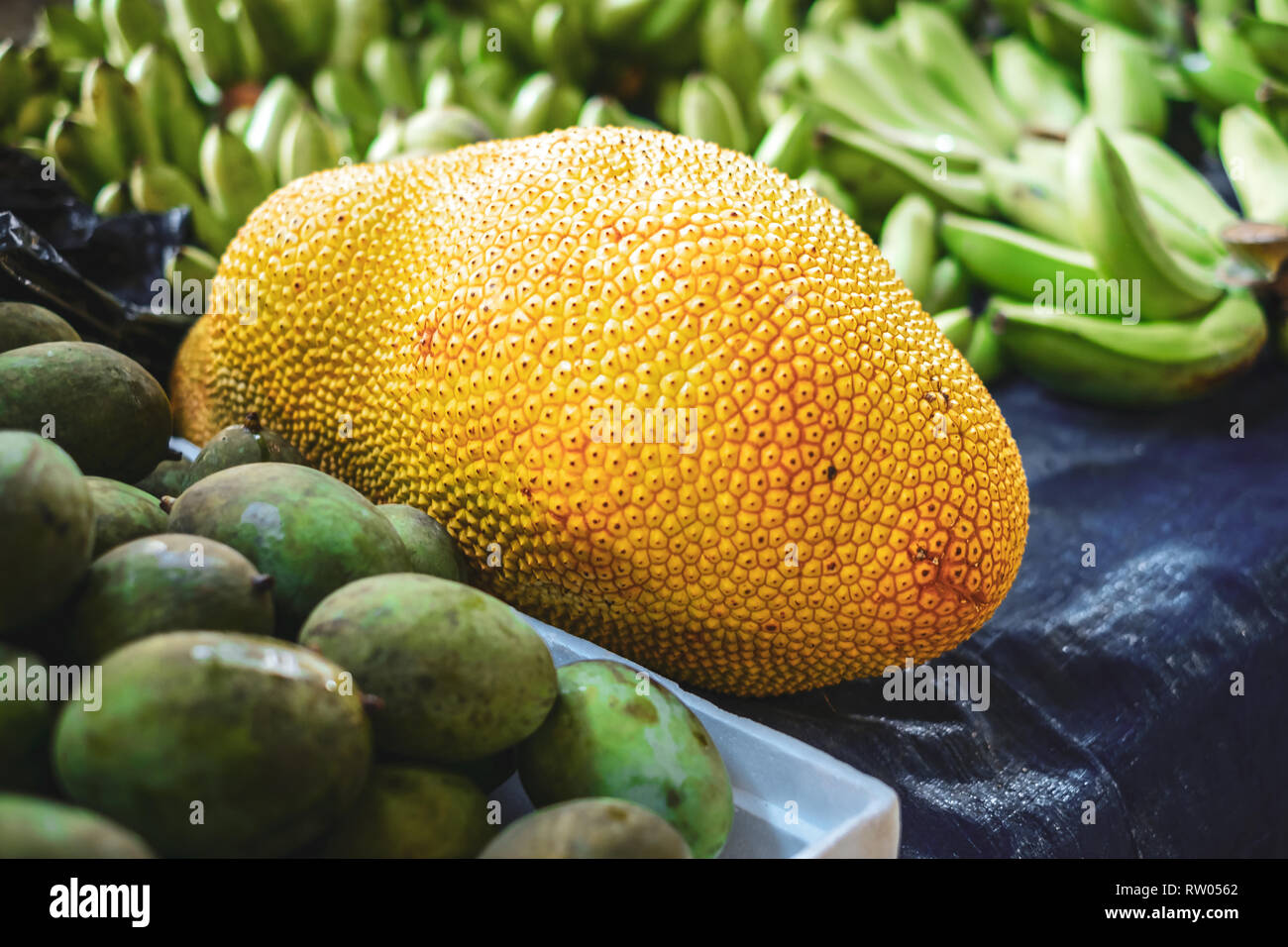 KUCHING / SARAWAK  / MALAYSIA / JUNE 2014: Jack fruit at the local street food market Stock Photo