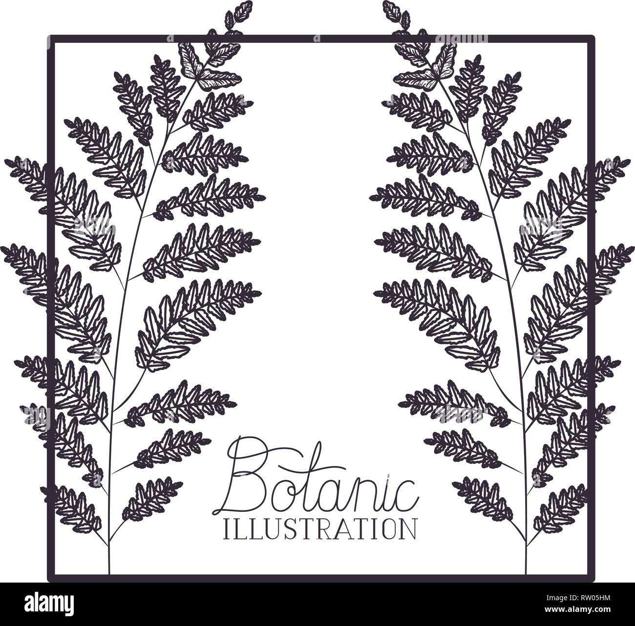 botanic illustration label with plants Stock Vector Image & Art - Alamy