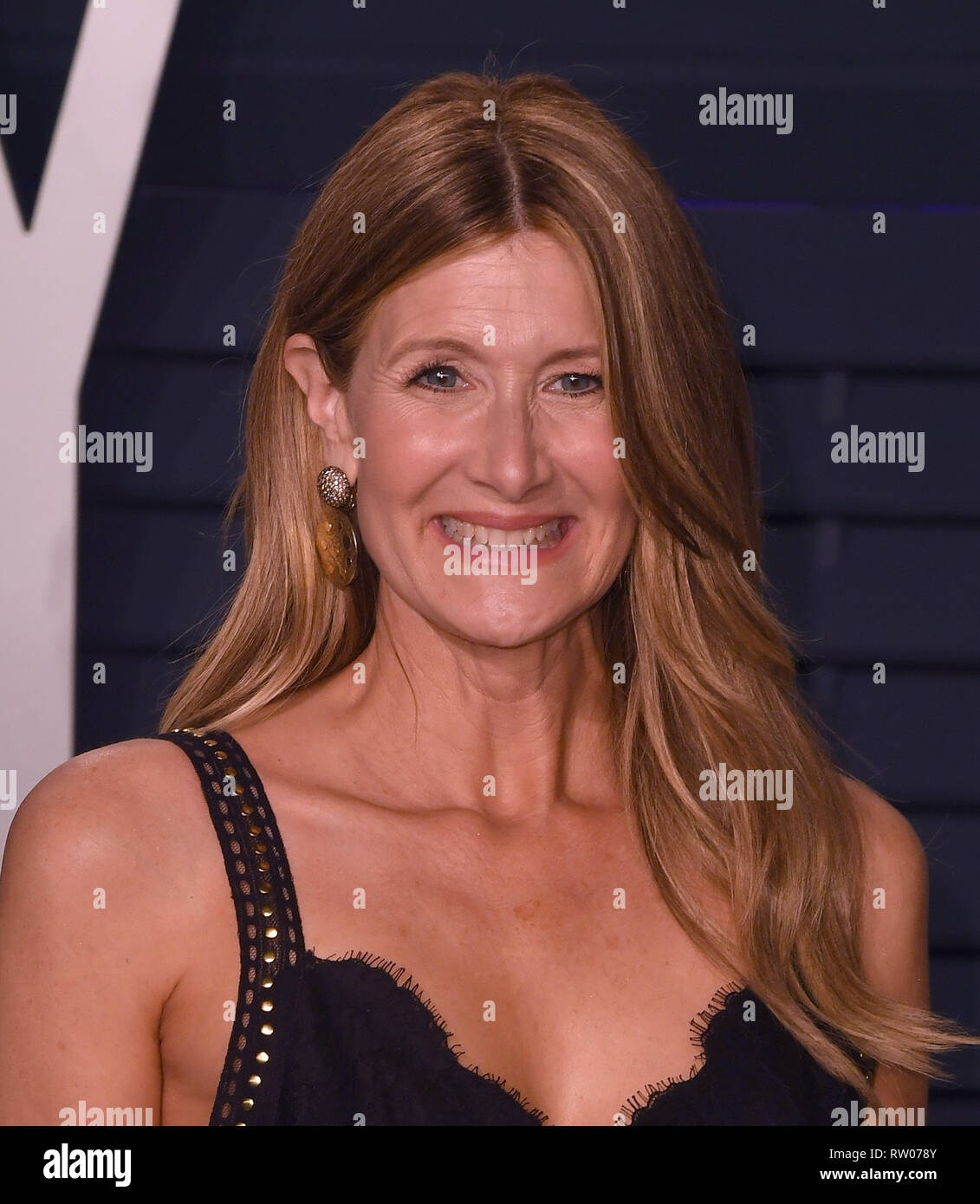 BEVERLY HILLS, CALIFORNIA - FEBRUARY 24: Laura Dern attends 2019 Vanity