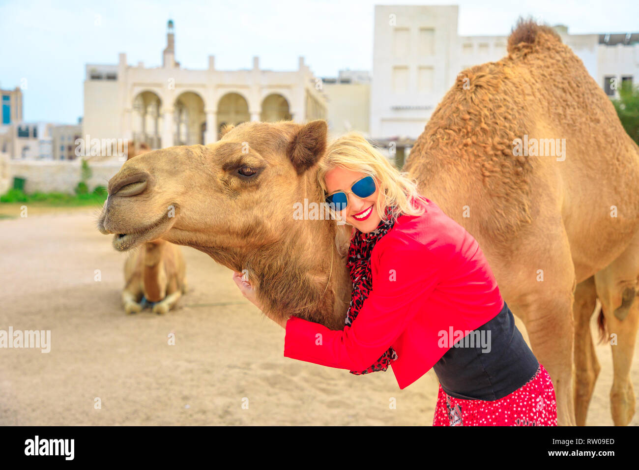 Happy blonde woman embraces a camel in Doha city center, near Souq Waqif, the old market, popular tourist in Al Souq District, Qatar. Caucasian Stock Photo