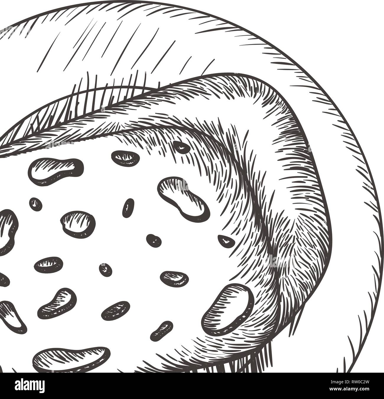 delicious cheese in drawing icon Stock Vector Image & Art Alamy